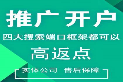 SEM专员案例：跨平台广告投放策略